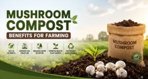 Mushroom Compost Benefits for Farming: A Natural Solution for Healthier Crops
