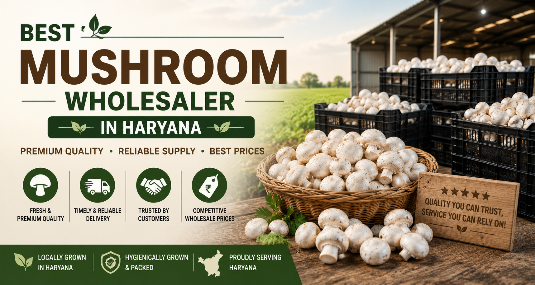 Best Mushroom Wholesaler in Haryana: Fresh, Premium-Quality Mushrooms from Guru Dil Agri Farm