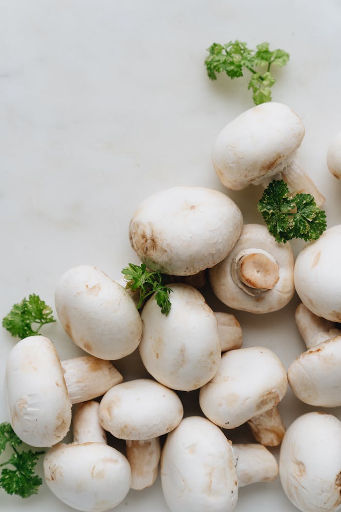 Fresh Mushroom